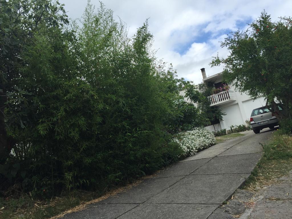 Apartments Ant ブドヴァ エクステリア 写真